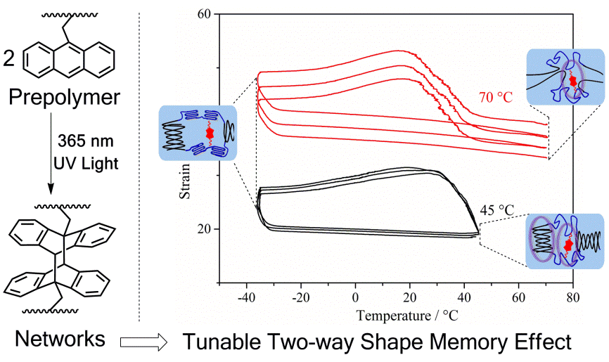 我室在光交联形状记忆高分子材料方面取得新进展