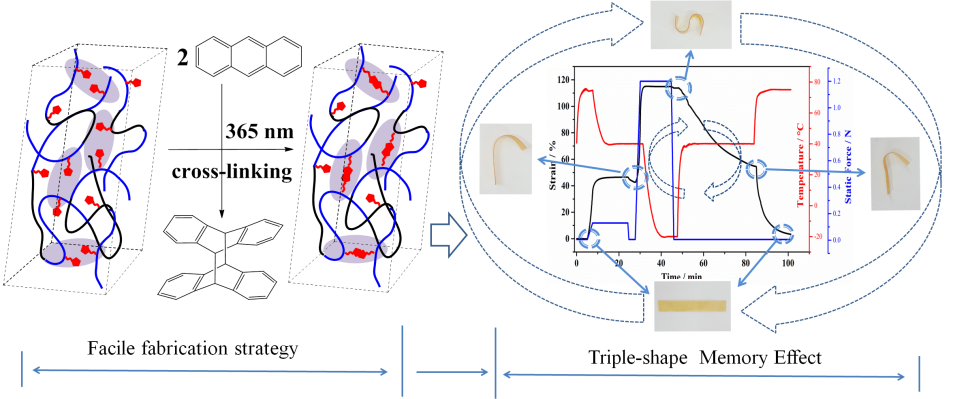 我室在光交联形状记忆高分子材料方面取得新进展