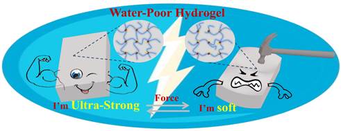 可力致变软的高强度低含水量水凝胶