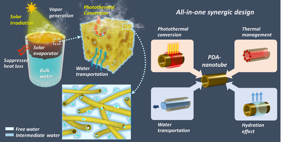 一种基于中空聚多巴胺纳米管的“多效合一”太阳能蒸发器