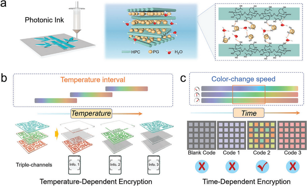 时间/温度分辨信息加密的纤维素光子墨水