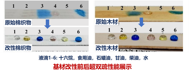 在我室参与科研训练的本科生获得“挑战杯”全国大学生学术科技竞赛科技发明制作B类奖