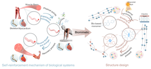 185C3